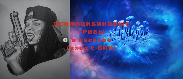 крисы Абинск