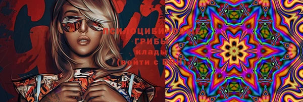 стаф Абдулино