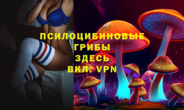 крисы Абинск