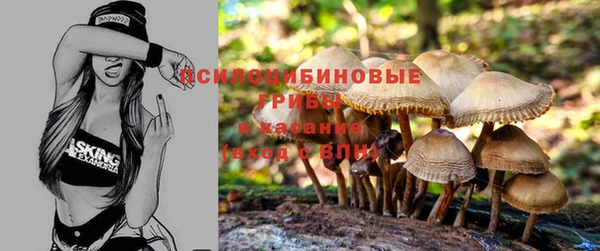 jwh Абаза