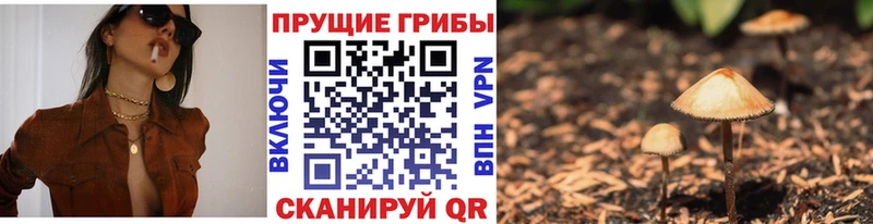 купить закладку  Урус-Мартан  Псилоцибиновые грибы Psilocybe 