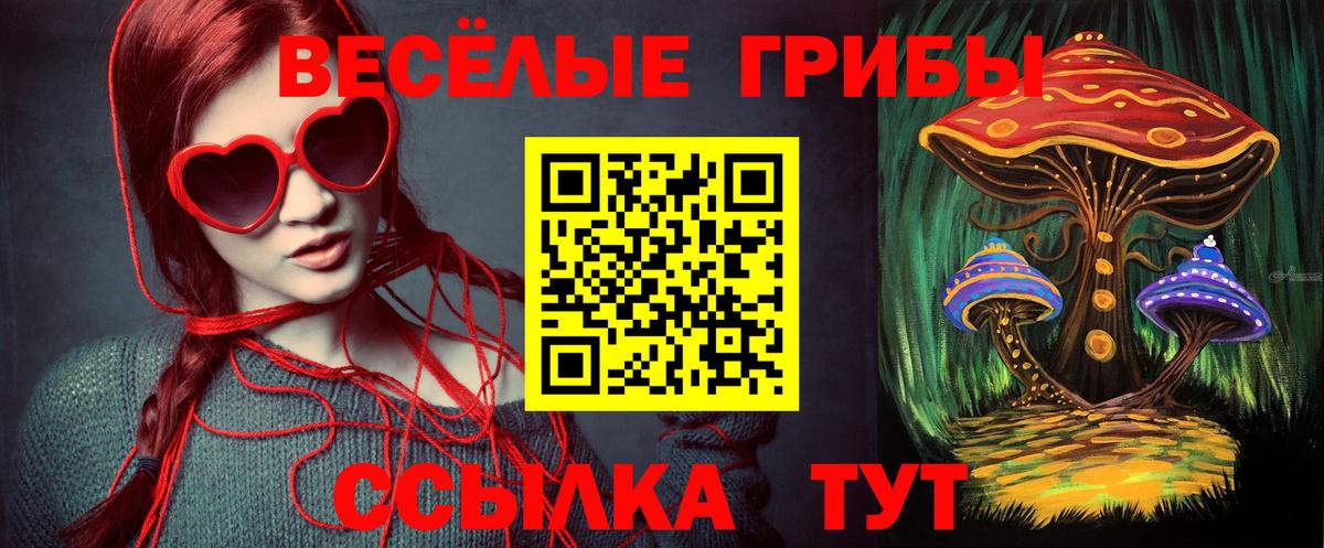 где продают наркотики  Галлюциногенные грибы MAGIC MUSHROOMS  Вход с VPN  Урус-Мартан 